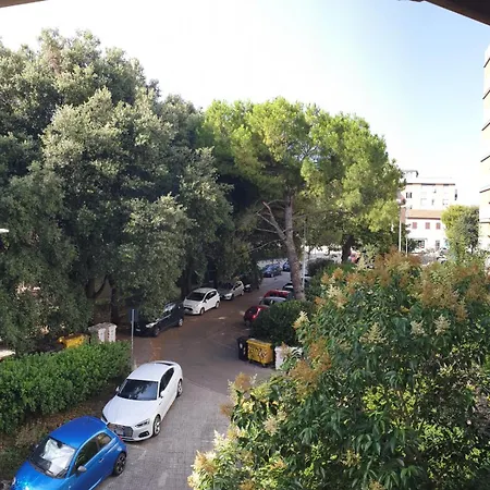 Le Due Tortore