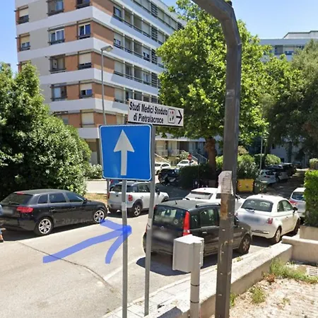 Le Due Tortore Ancona