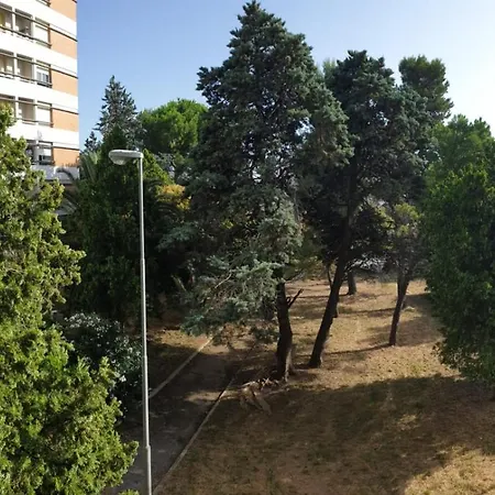 Le Due Tortore Apartment Ancona